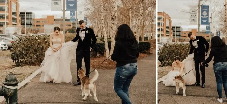 Two photos of a bride in a long white gown and groom in a bow tie meeting a dog on a leash outdoors
