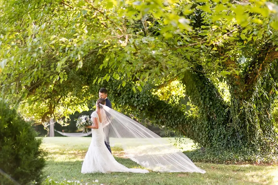 Bride and groom beneath a large tree on a lawn with her long veil trailing behind