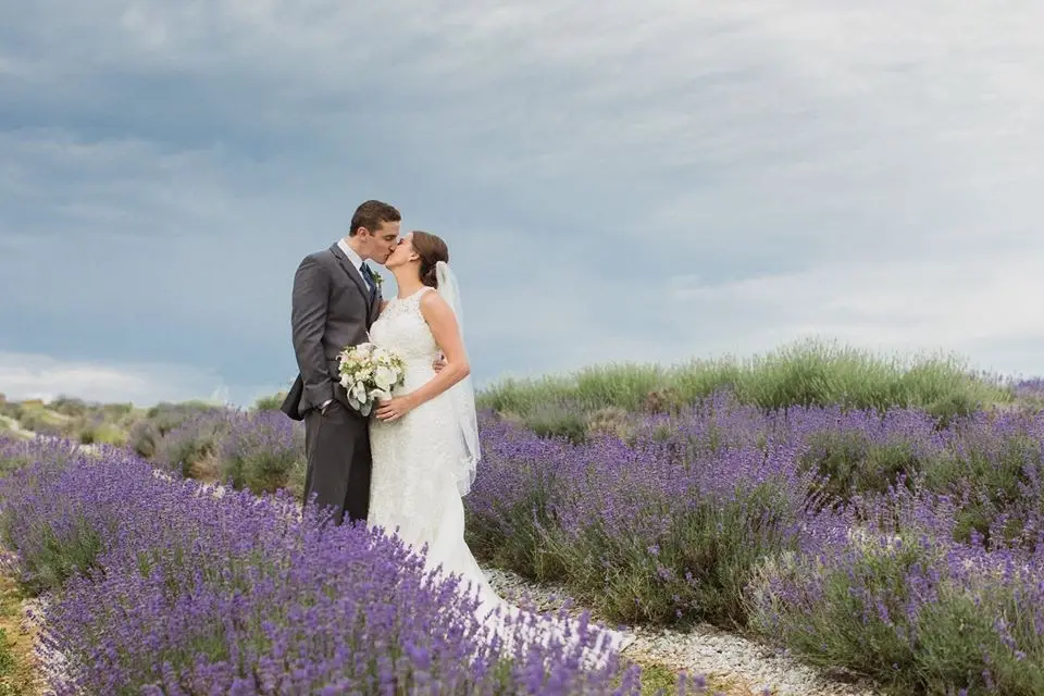 Bride and groom kissing in a field of blooming lavender under a cloudy sky