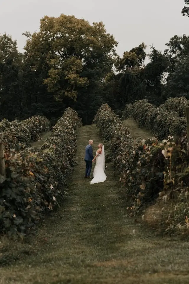 Bride and groom standing together between rows of grapevines in a vineyard