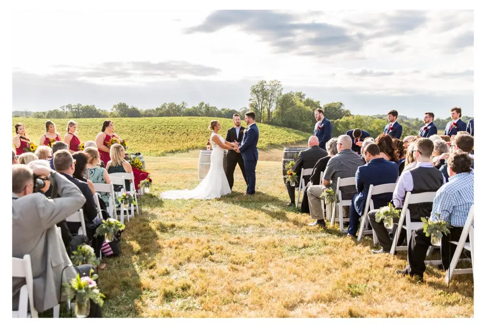 Outdoor wedding ceremony in a field with guests seated on white chairs and a vineyard behind