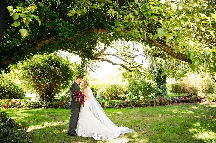 Bride and groom kissing beneath a large leafy tree in a garden, the bride's veil trailing behind