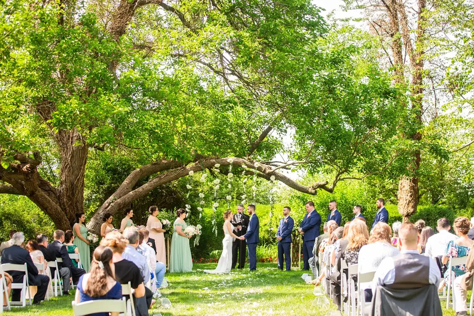 Wedding ceremony under a large leafy tree with guests seated on white chairs