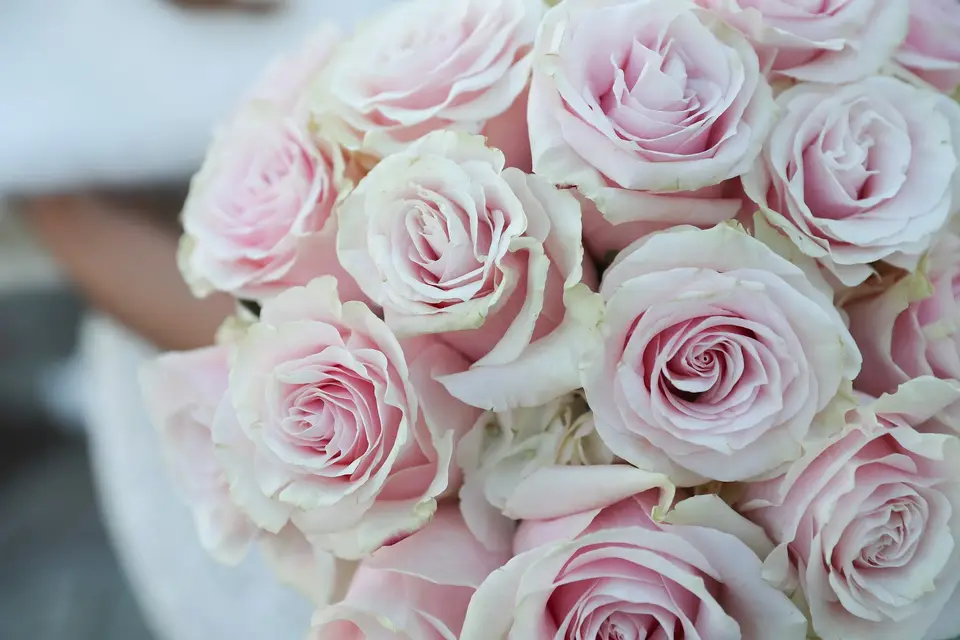 Close-up of a bridal bouquet of pale pink and cream roses held by the bride