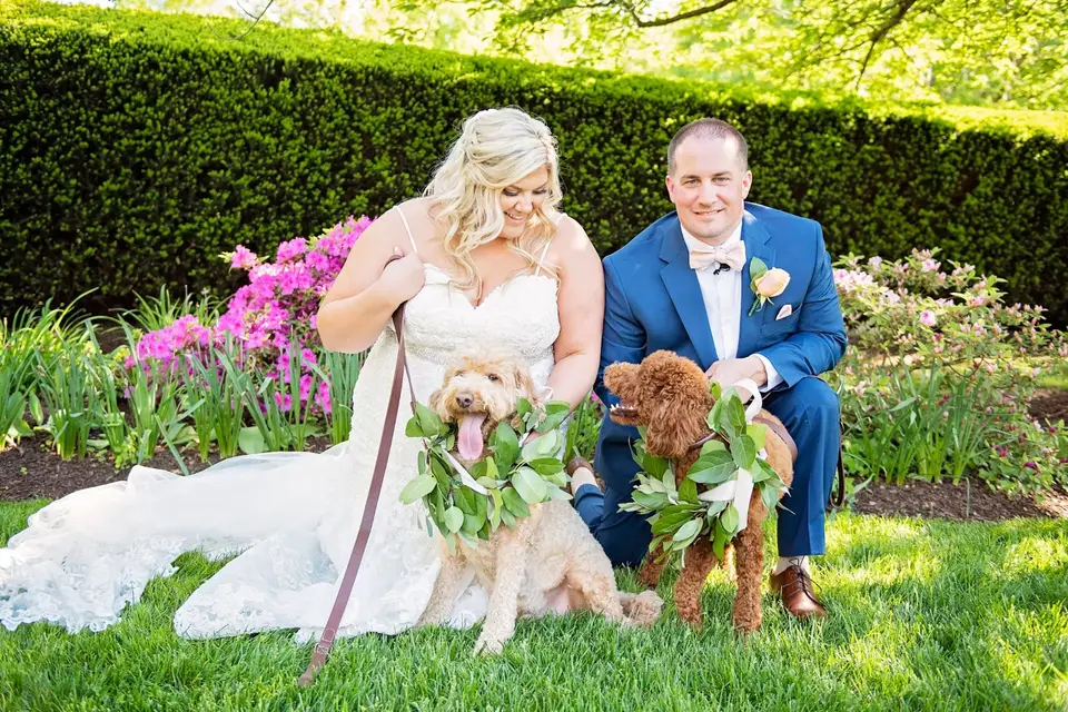Bride and groom kneel on the grass with two dogs in leafy garlands between them