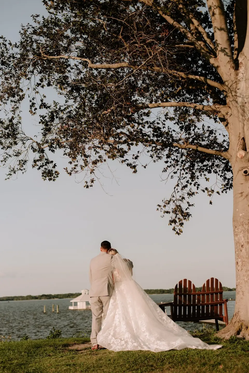 Bride and groom seen from behind standing beside a large tree and wooden chairs, looking out over the water
