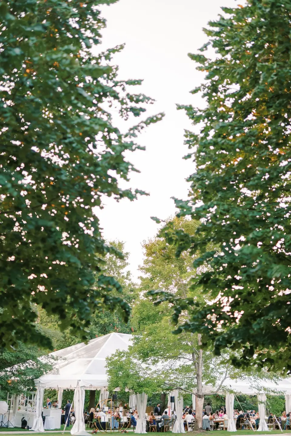 White wedding tent with guests seated beneath it, seen through the leaves of tall trees