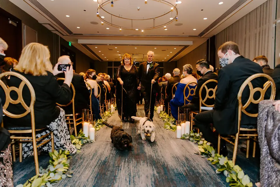 Parents walking two dogs down a ceremony aisle lined with candles and greenery as guests watch