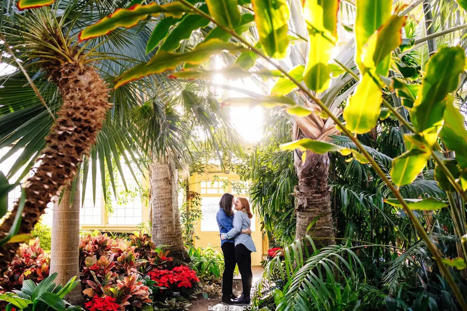 Couple embracing among palm trees and red plants in a botanical conservatory