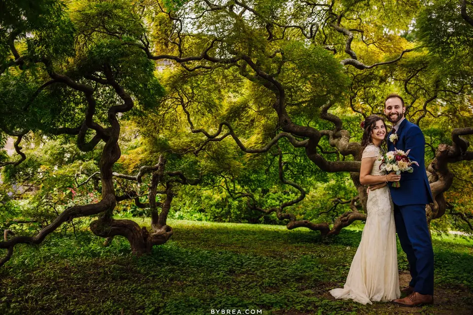 Bride and groom posing beneath a Japanese maple with twisted branches in a garden