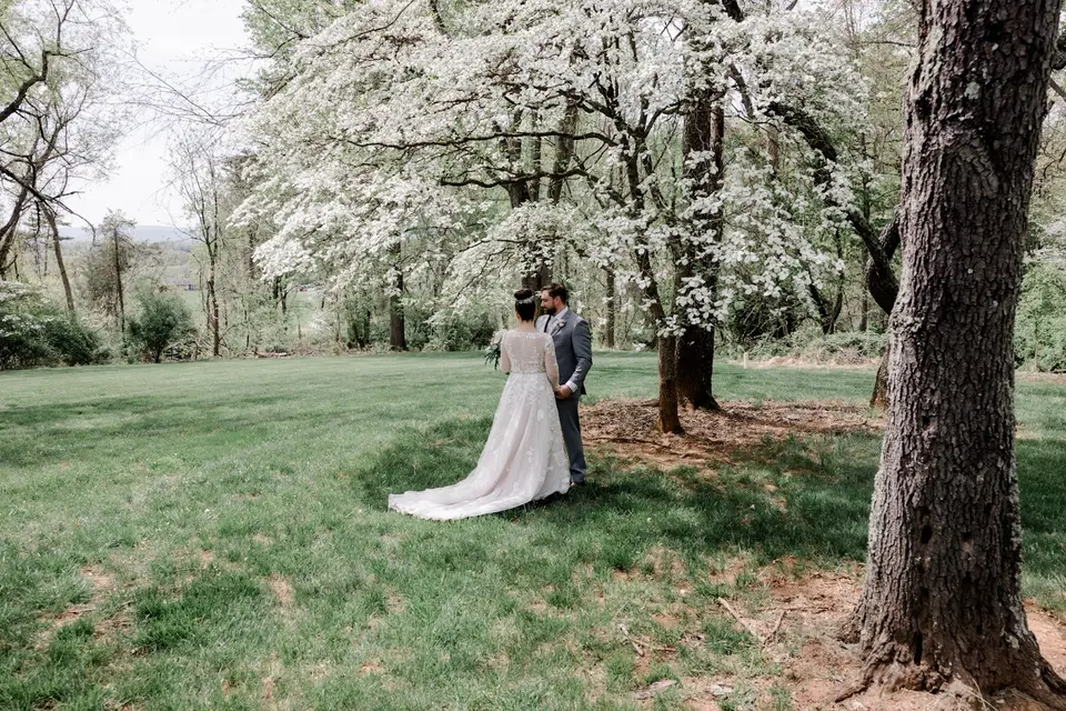 Bride and groom stand together on a lawn beneath white flowering trees
