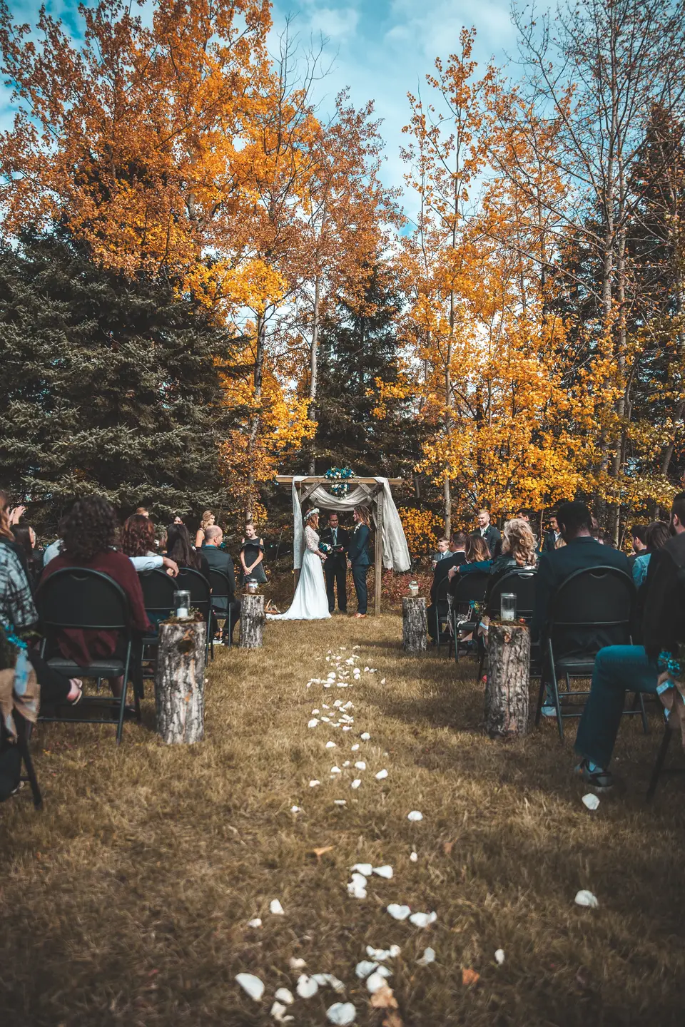 Image of a couple getting married in the forest